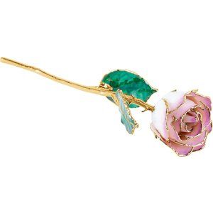 Lacquered Cream Picasso Rose with Gold Trim